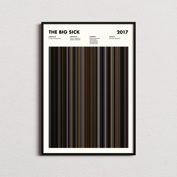 The Big Sick Movie Barcode Poster