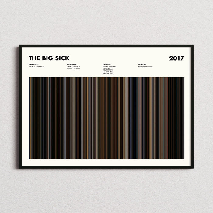 The Big Sick Movie Barcode Poster